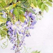 Схема вышивки «Глициния»