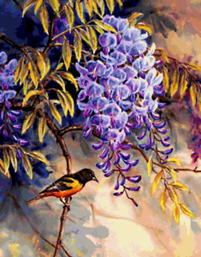 Глициния - предпросмотр