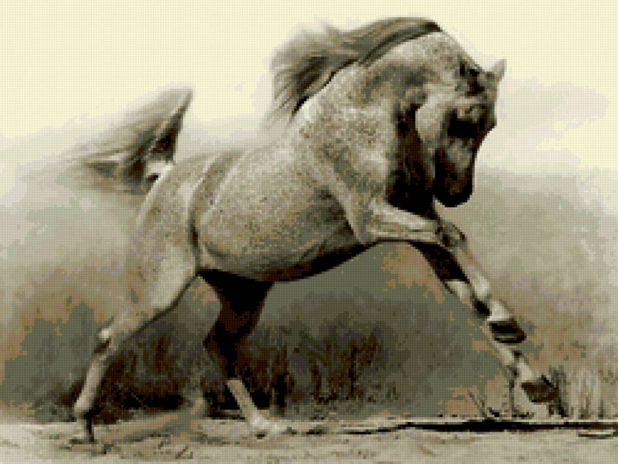 Конь - предпросмотр