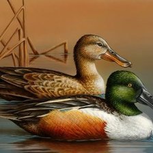 Схема вышивки «уточки»