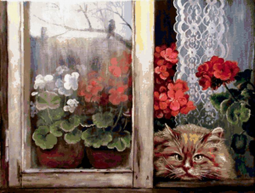 кот Вася - кошки - предпросмотр