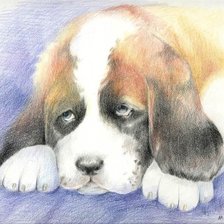 Схема вышивки «щенок сенбернара»