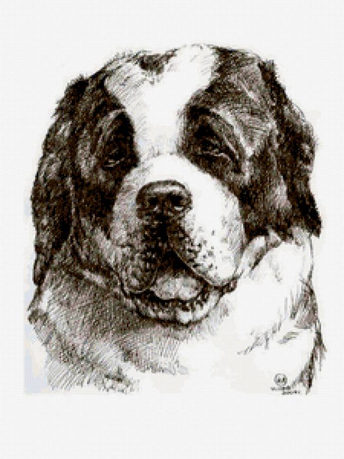 собака - собаки - предпросмотр