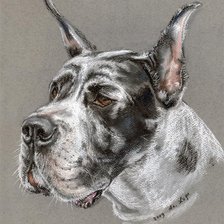 Схема вышивки «дог»