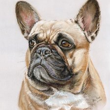 Схема вышивки «бульдог французский»