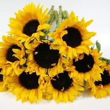 Схема вышивки «подсолнухи»