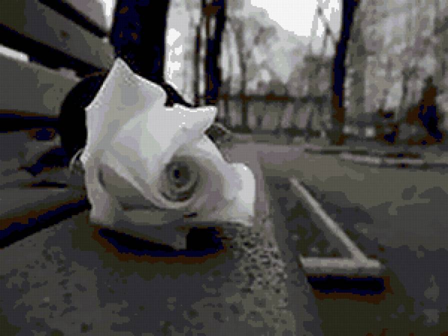 №425221 - черно белое - предпросмотр