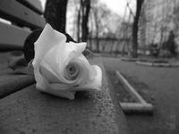 Схема вышивки «№425221»