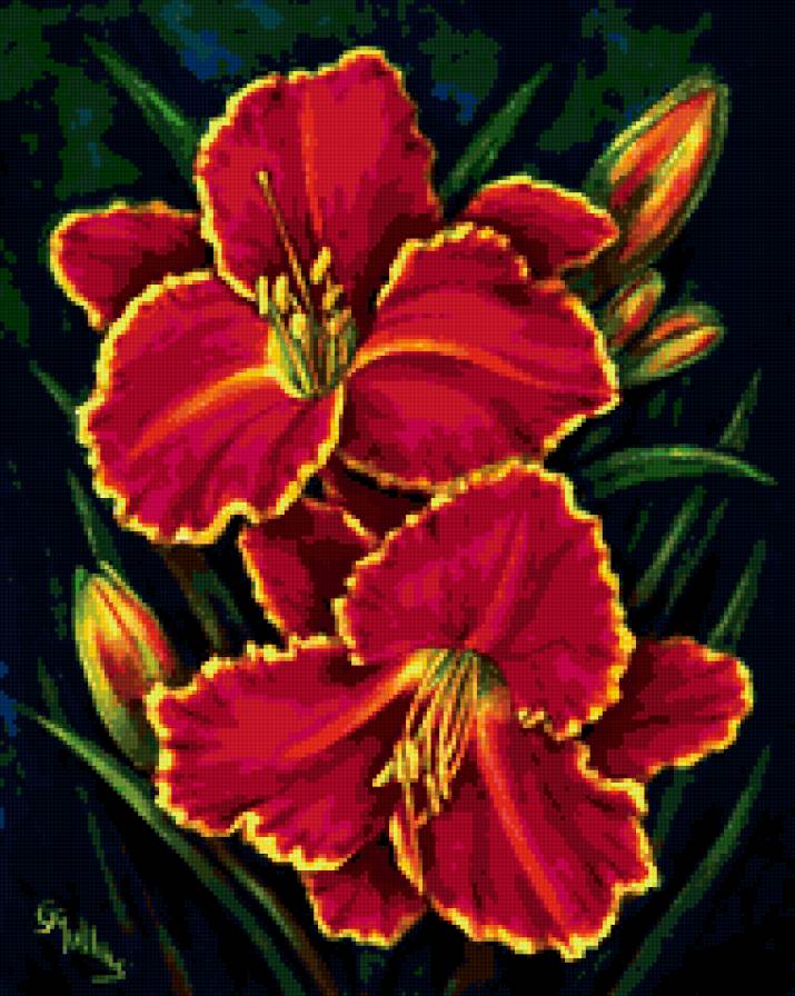 Красные лилии - цветы - предпросмотр