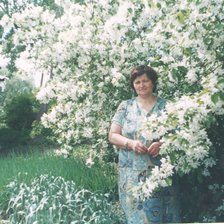 Схема вышивки «№425306»