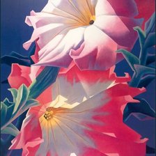 Схема вышивки «№425352»