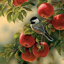 Схема вышивки «В яблоках»