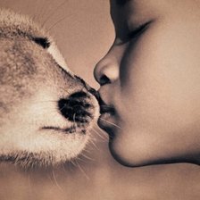 Схема вышивки «пара»