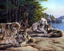 Схема вышивки «стая»