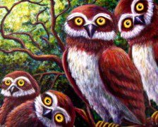 Схема вышивки «Совы»