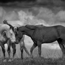 Схема вышивки «№425596»