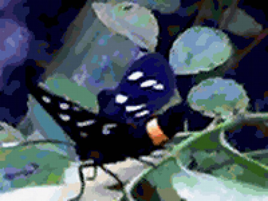 Бабочка - бабочки, природа, насекомые - предпросмотр