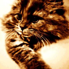 Схема вышивки «анфиска»