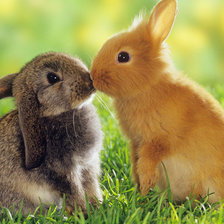 Схема вышивки «Зайчата»