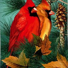 Схема вышивки «№425885»