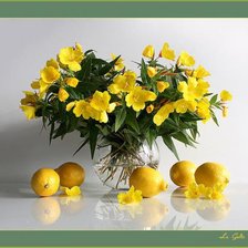 Схема вышивки «№425927»