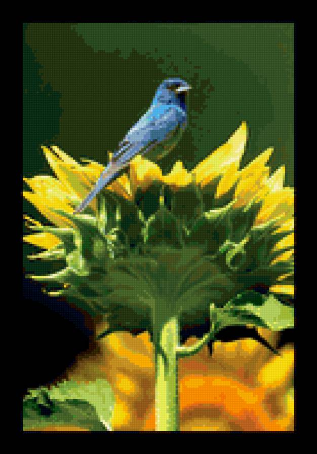 птичка - природа, цветы, животные, подсолнух, птичка - предпросмотр