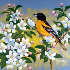 цветы и птицы 2