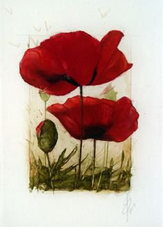 маки - оригинал