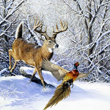 Схема вышивки «0136»