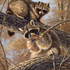 Схема вышивки «0139»