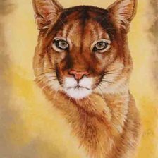 Схема вышивки «Пума»