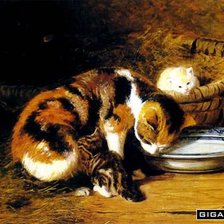 Схема вышивки «№426223»