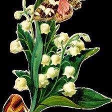 Схема вышивки «ландышы»