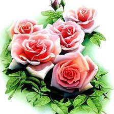 Схема вышивки «Розы»