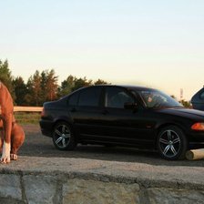 Схема вышивки «амстафф и бмв»