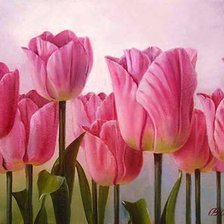 Схема вышивки «ТЮЛЬПАНЫ»