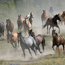 Схема вышивки «Табун»