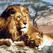 Схема вышивки «хозяин саванны»