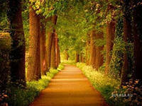 Схема вышивки «№426724»