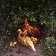 Схема вышивки «семья кур»