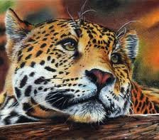 Схема вышивки «№426744»