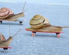 Схема вышивки «ślimaki na rolkach»