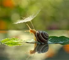 Схема вышивки «ślimaczek z parasolką»