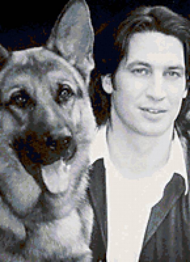 Комиссар Рэкс - предпросмотр