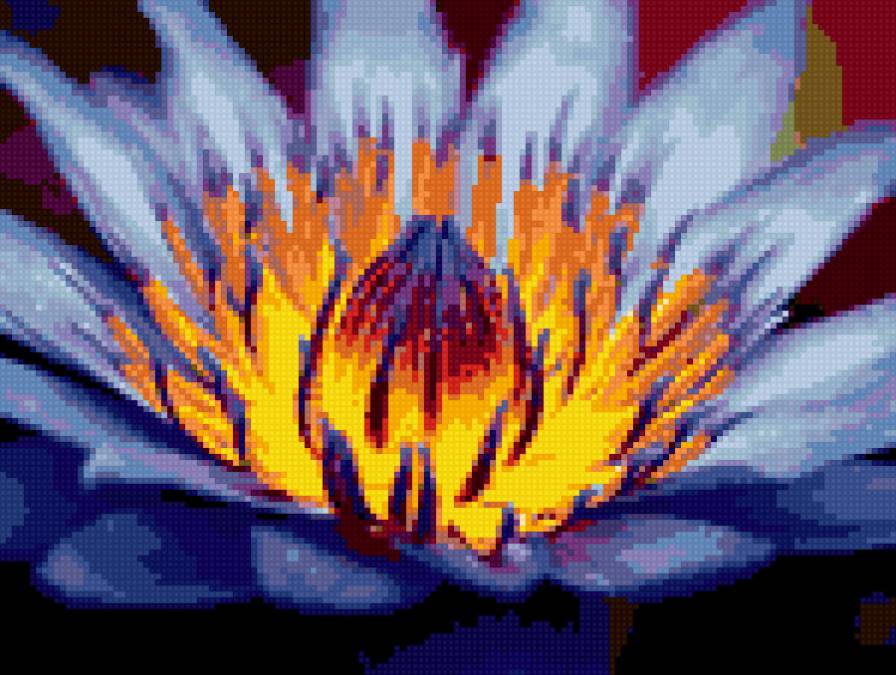 Синий цветок - цветы, цветок - предпросмотр