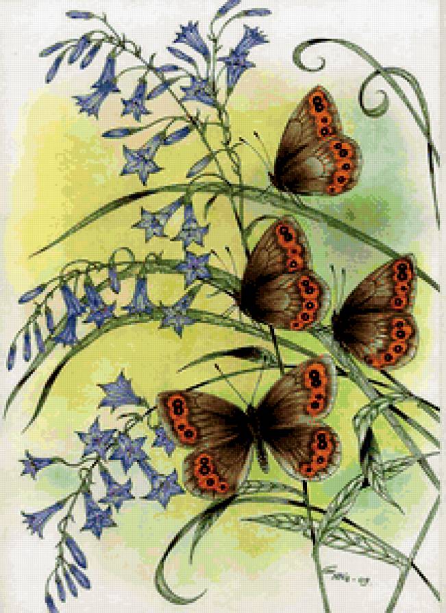 цветы и бабочки - предпросмотр