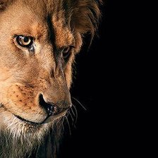 Схема вышивки «№427163»