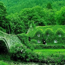 Схема вышивки «ЗЕЛЕНИЙ БУДИНОК»