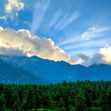 Схема вышивки «НЕБО НАД ЛІСОМ»