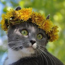 Схема вышивки «№427306»